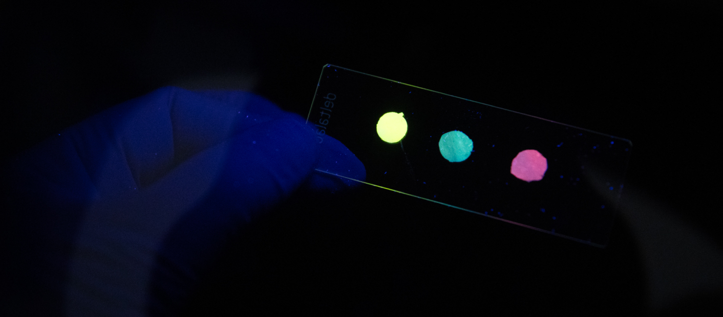 Investigadores do ISEP desenvolvem dispositivo para monitorizar cancro do pâncreas