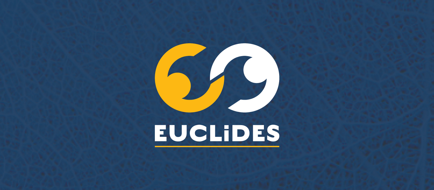 29th EUCLIDES no ISEP
