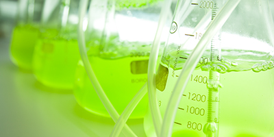 Investigadores da FEUP e ISEP Autores de Um dos Artigos Mais Citados sobre Microalgas e Biodiesel