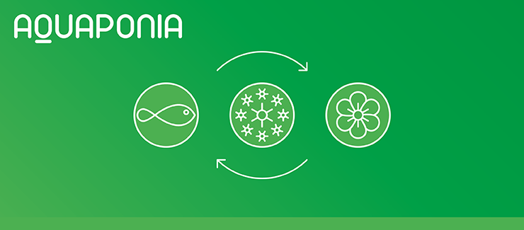 A primeira horta vertical do ISEP