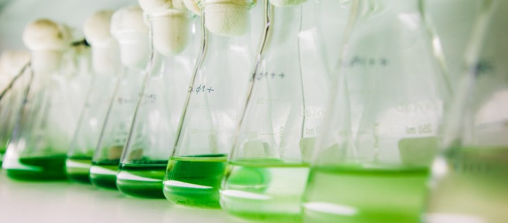 Mestrado em Biorrecursos visa preencher lacuna formativa no País