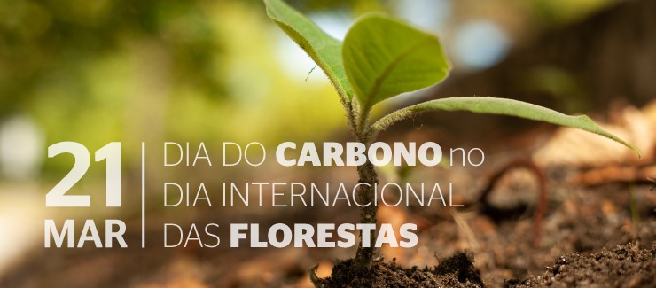 Dia do Carbono assinalado com missão amiga do ambiente 