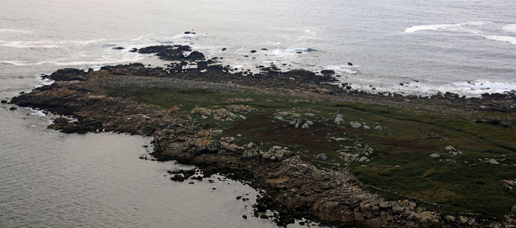 Investigadores colaboram na Enciclopédia de Ciências Costeiras