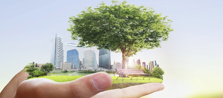 Mestrado em Práticas do Desenvolvimento com parcerias internacionais de referência